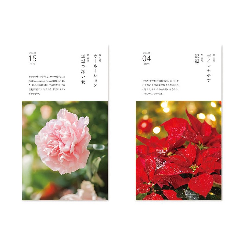 曆生活23 Calendar 桌立式寫真日曆 365日誕生花 Nk 蝦皮購物