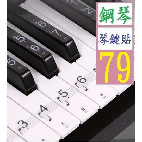 【三峽貓王的店】黑鍵貼88鍵 61鍵54鍵透明五線譜簡譜琴鍵貼紙鋼琴 電子琴鍵盤貼 鋼琴貼紙