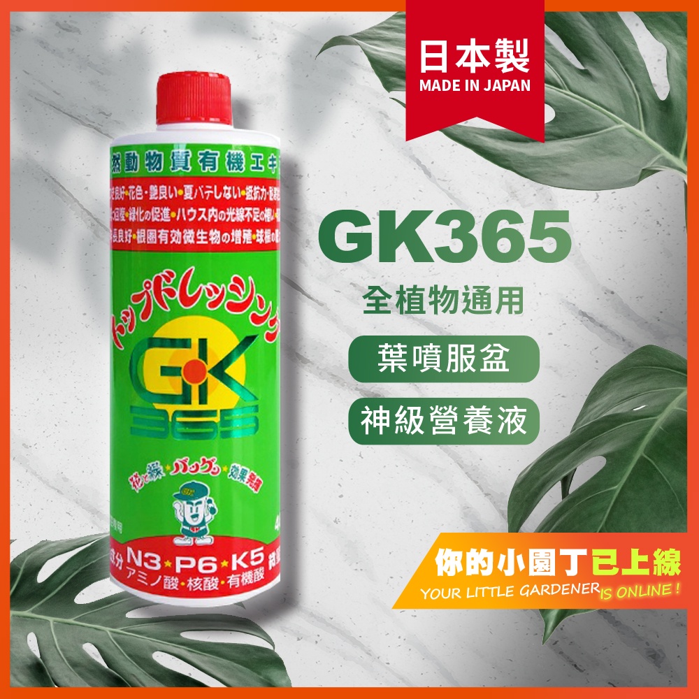 🔴快速出貨/日本製 GK365/神級/火鶴/鹿角蕨/蔓綠絨/多肉/塊根/天然/日本盆景大師推薦/日本原裝