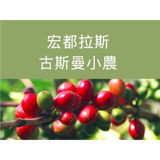 SCA國際認證 黑果精品咖啡 宏都拉斯 古斯曼小農 450g