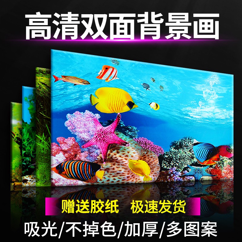 3d水族館 拍賣 評價與ptt熱推商品 21年4月 飛比價格