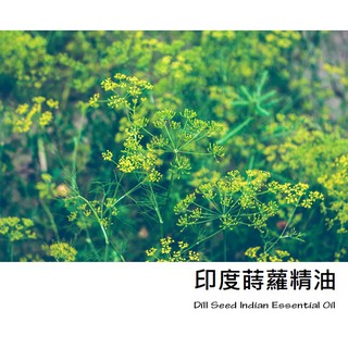 【ls】印度蒔蘿精油 (Dill Seed Indian Essential Oil)