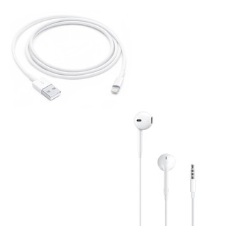 Apple 原廠充電線 線控耳機
