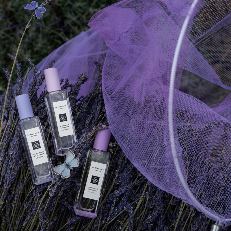 Jo Malone 2020年 3月 薰衣草 限量系列 白樺樹與薰衣草 / 紫藤花與薰衣草