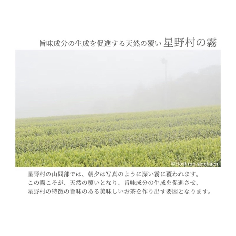 現貨星野製茶園福岡八女抹茶粉池之白40g 推薦商品| 蝦皮購物