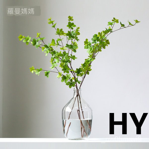 吊鐘花 拍賣 評價與ptt熱推商品 21年4月 飛比價格