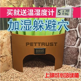 【臺灣現貨秒發】陸龜山洞 守宮躲避 陸龜躲避 加濕洞穴 爬蟲箱造景裝飾 陸龜守宮 鬃獅 蜥蜴 蛇 洞穴 水族裝飾造景