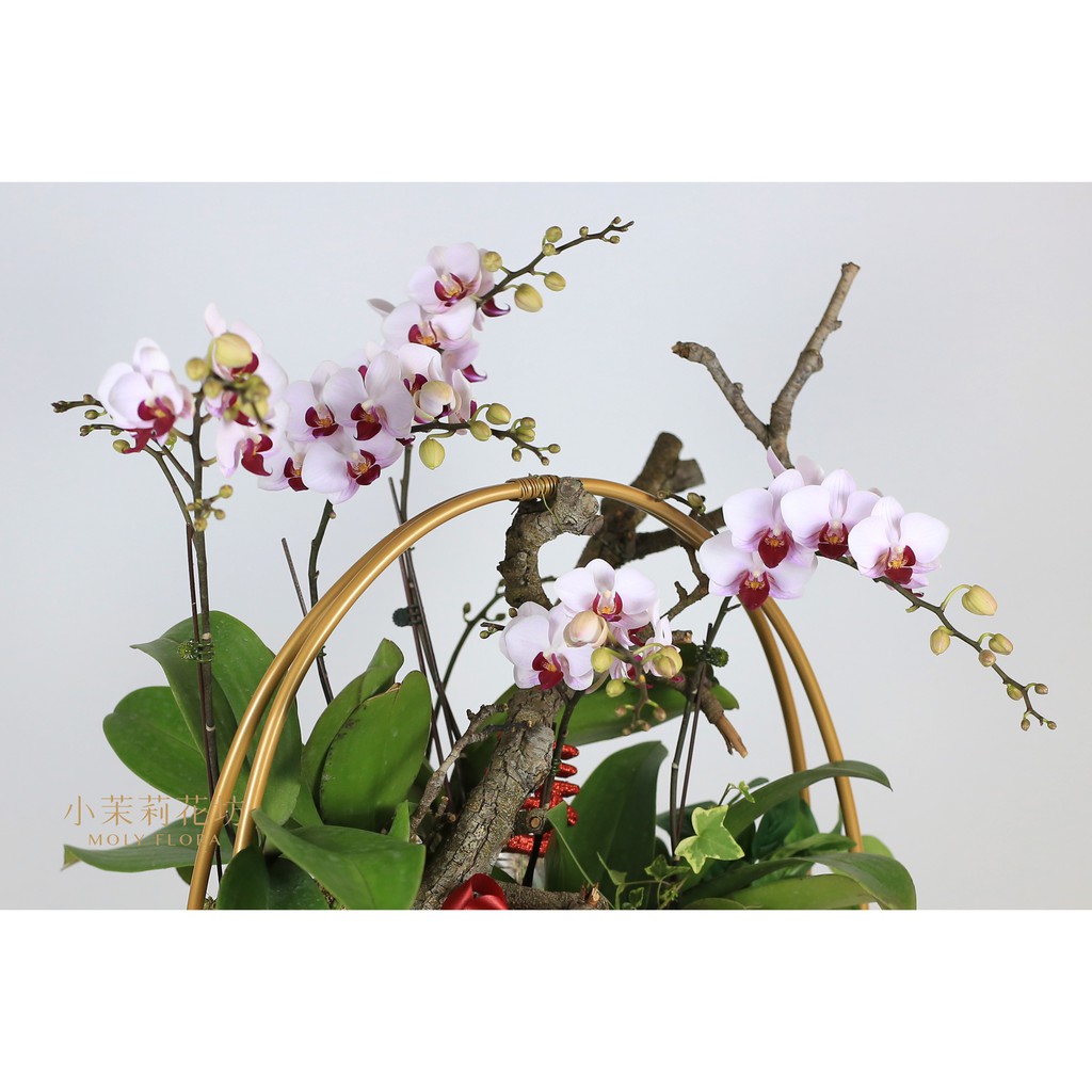 お値下げしました池坊花器 竹両窓