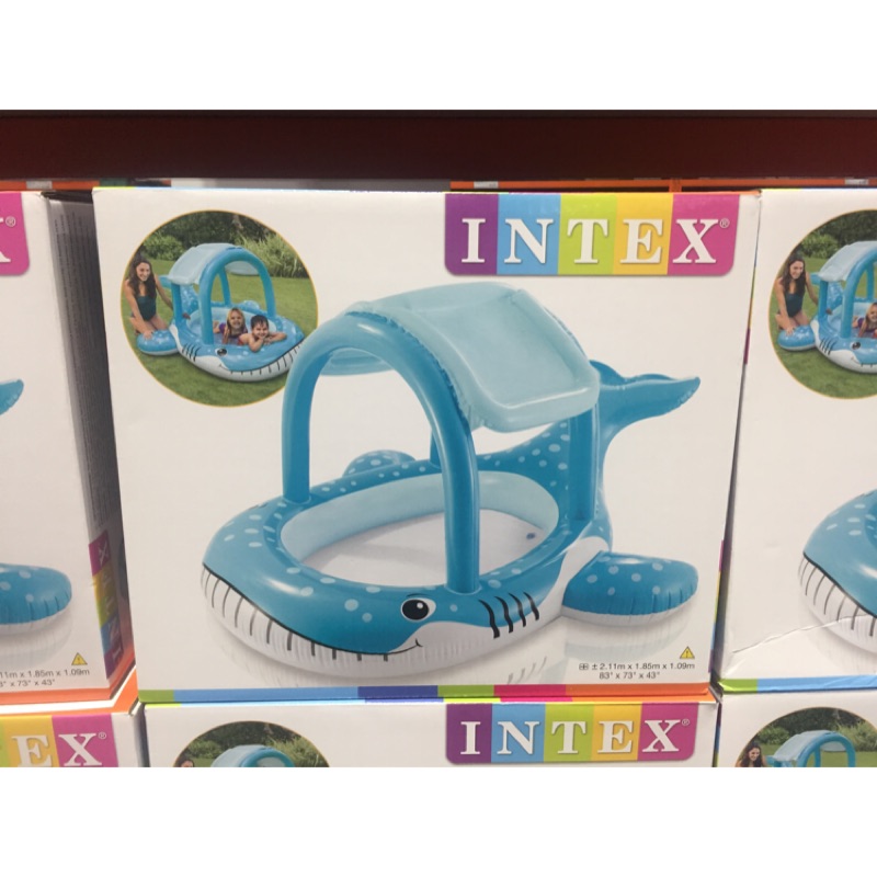 好市多Costco-INTEX鯨魚造型戲水池 #1011111