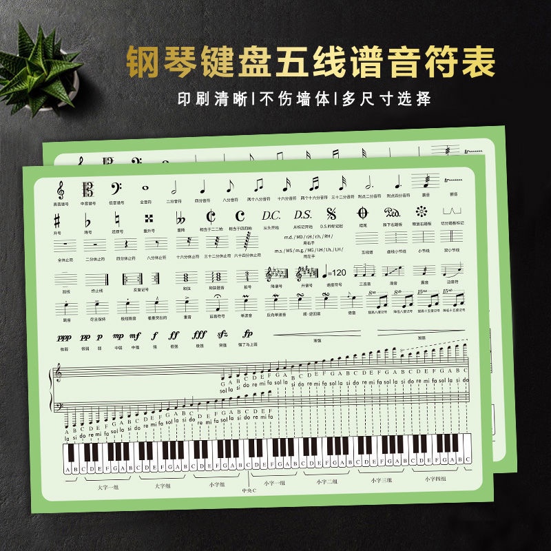 優質精選 鍵樂理知識大譜表與鋼琴鍵盤五線譜音符對照表音樂學習墻貼掛圖 蝦皮購物