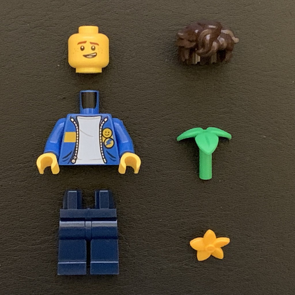 「樂高 軍團」LEGO NINJAGO 71741 10週年 旋風忍者之城 城市花園 藍忍者 阿光 Urban Jay