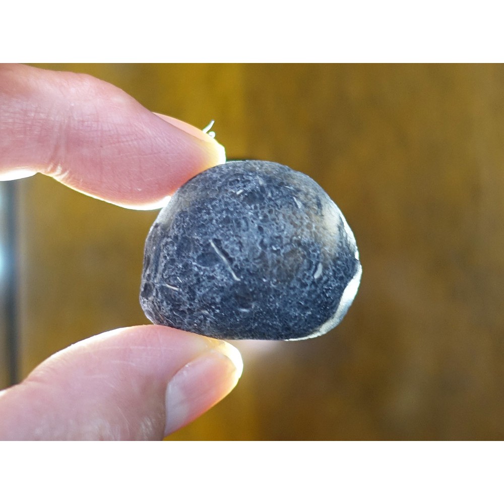 §能量礦石§ 亞利桑那隕石Saffordite Arizona天狼星隕石 重24.89g