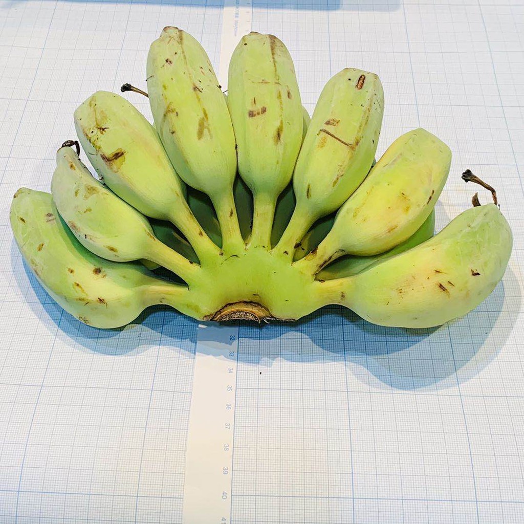 台灣蜜芭蕉 香蕉 山蕉 蜜芭蕉 芭蕉 木瓜 蜜梨 水梨 雪梨 市場稀有 清脆 香甜 小農 甜柿 富有甜柿 次郎甜柿 蝦皮購物