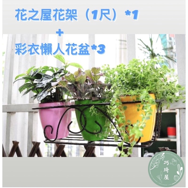 ｜巧琦屋｜花之屋花架（1尺）古銅色+3寸彩衣懶人花盆3個（套組）