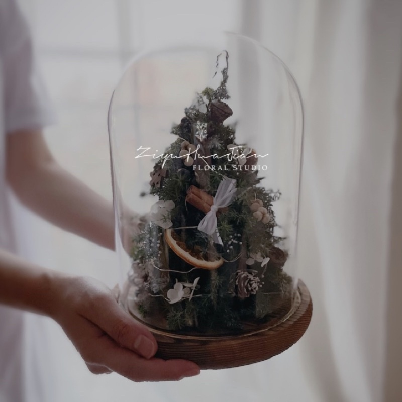 聖誕樹 聖誕樹玻璃罩盅 聖誕燈 聖誕節 交換禮物 永生花夜燈 松果 手工聖誕樹 不凋雪松