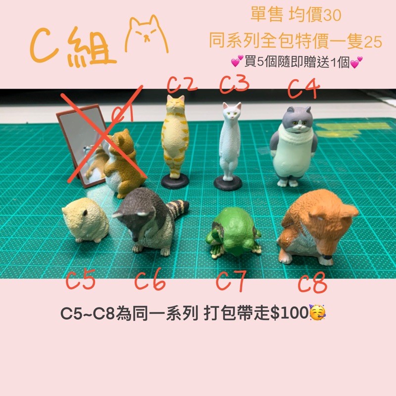 扭蛋單售均價30 神奇寶貝寄居蟹水果鳥動物系列扭蛋 蝦皮購物