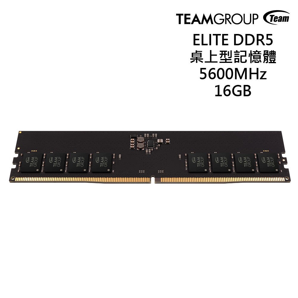 TEAM 十銓 ELITE DDR5 5600 16GB CL46 桌上型記憶體 現貨 廠商直送
