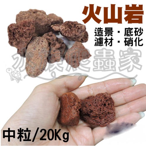 水族爬蟲家 火山岩中粒紅kg 整袋lc Hss M kg 溶岩石硝化石底砂過濾濾材石材 蝦皮購物