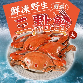 【享吃美味】鮮凍野生三點蟹(大)3~12包組(500g±10%/2隻/包) 免運組 螃蟹