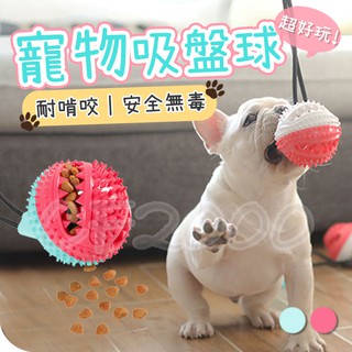 【耐磨耐咬臺灣出貨】寵物玩具 磨牙 啃咬 潔牙 吸盤 寵物吸盤球 TPR玩具球 零食球 寵物用品 無毒【HP20】