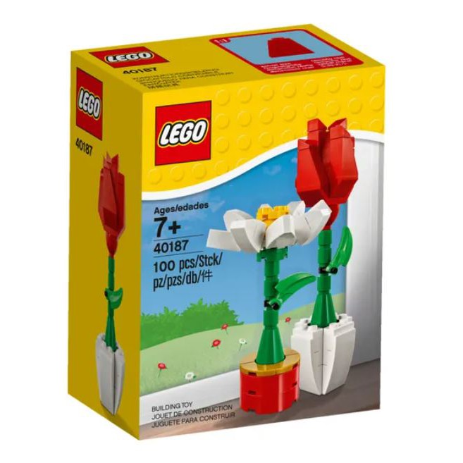 【ToyDreams】LEGO樂高 40187 紅玫瑰花和雛菊 情人節花朵 Flower Display