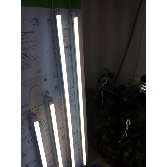 《塑管》再促銷騰嘉led日光燈管 T8/T5 4呎 20瓦1850流明 100元/2尺90元買一次買50支一隻86元