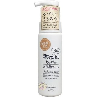 SOAP MAX 無添加泡沫洗面乳 【樂購RAGO】 日本製