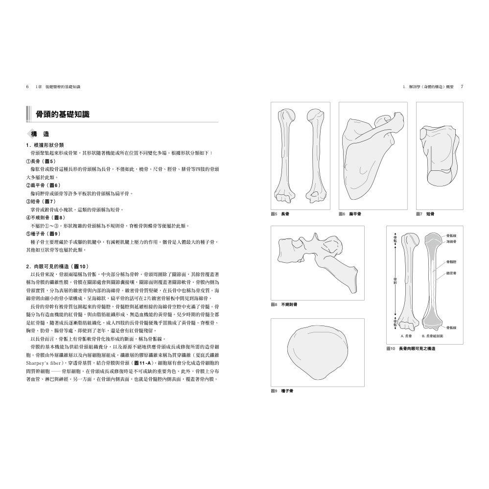 人體動作分析 以解剖學 生理學 運動學為基礎分析動作 奈良勳 木林勉 佐藤香緒里 Eslite誠品 蝦皮購物