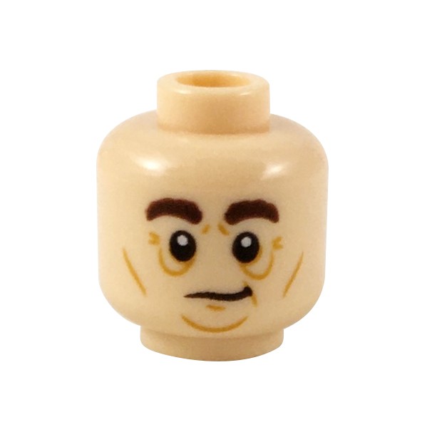 公主樂糕殿 LEGO 75947 75954 哈利波特 海格 頭 膚色 3626cpb2167 (A257)