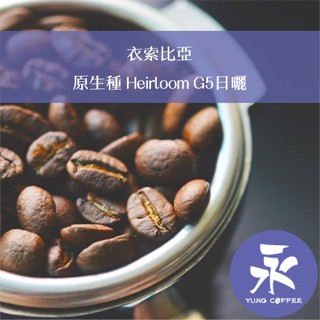 [永每咖啡]超值298元1磅裝,原生種 Heirloom G5 日曬(衣索匹亞)淺焙 咖啡豆,新鮮烘焙坊全店滿498免運