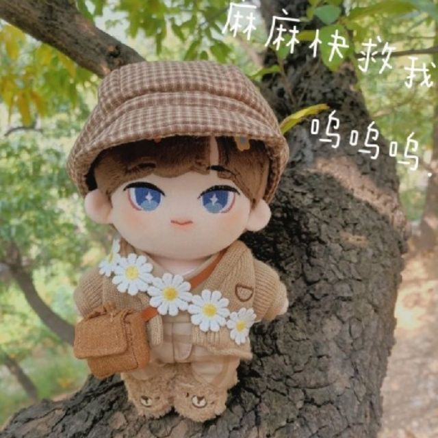 【現貨】周震南20cm娃娃/R1SE