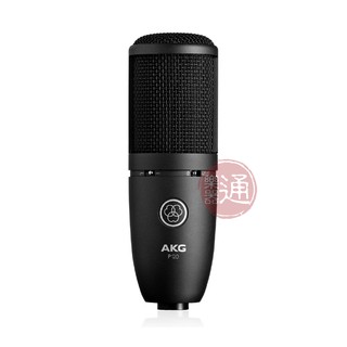 AKG / P120 電容式麥克風 台灣代理公司貨【樂器通】