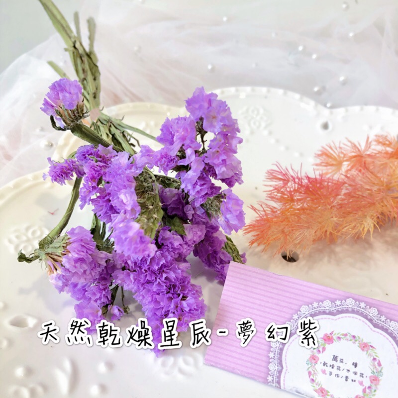 萬花 瞳乾燥花素材 乾燥星辰花 淡紫 乾燥花束蠟婚禮佈置擴香手作素材喜帖攝影道具捧花新娘捧花花盅 蝦皮購物