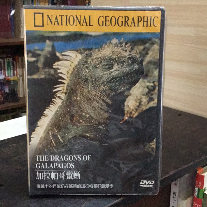 DVD國家地理學會 加拉帕鬣蜥