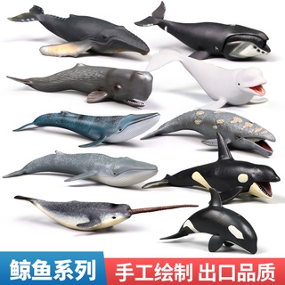 【現貨】兒童模擬海底生物 海洋哺乳動物 實心鯨魚藍鯨模型玩具 早教認知套裝擺件禮物