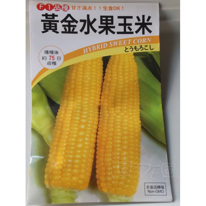 【滿699起免運】DIY種子栽種 成就滿滿~黃金水果玉米 【園丁花圃】