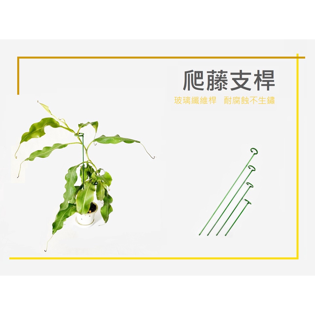 ✿蝕草小舖✿ 植物支架 固定架 支撐架 支撐杆(加粗版)