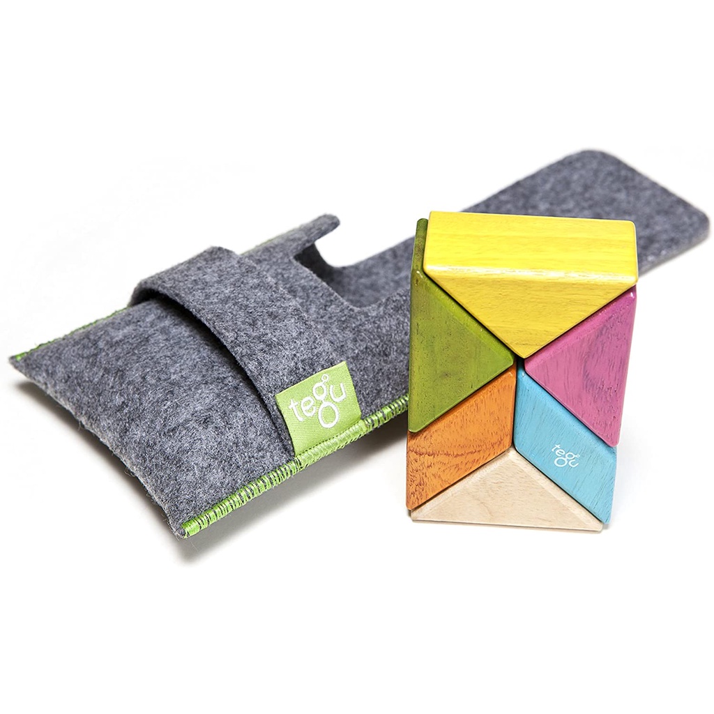 [全新現貨] 美國 Tegu 安全無毒磁性積木 隨身口袋組 調色盤 6件組 磁性積木