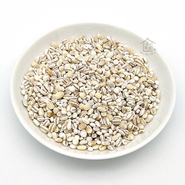 小薏仁 1斤(600g) 洋薏仁 大麥仁 【萬年興】 | 蝦皮購物