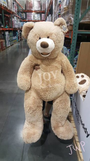 全新現貨速出 Costco 53吋絨毛熊玩偶卡其色 灰色 咖啡色好市多大熊 蝦皮購物