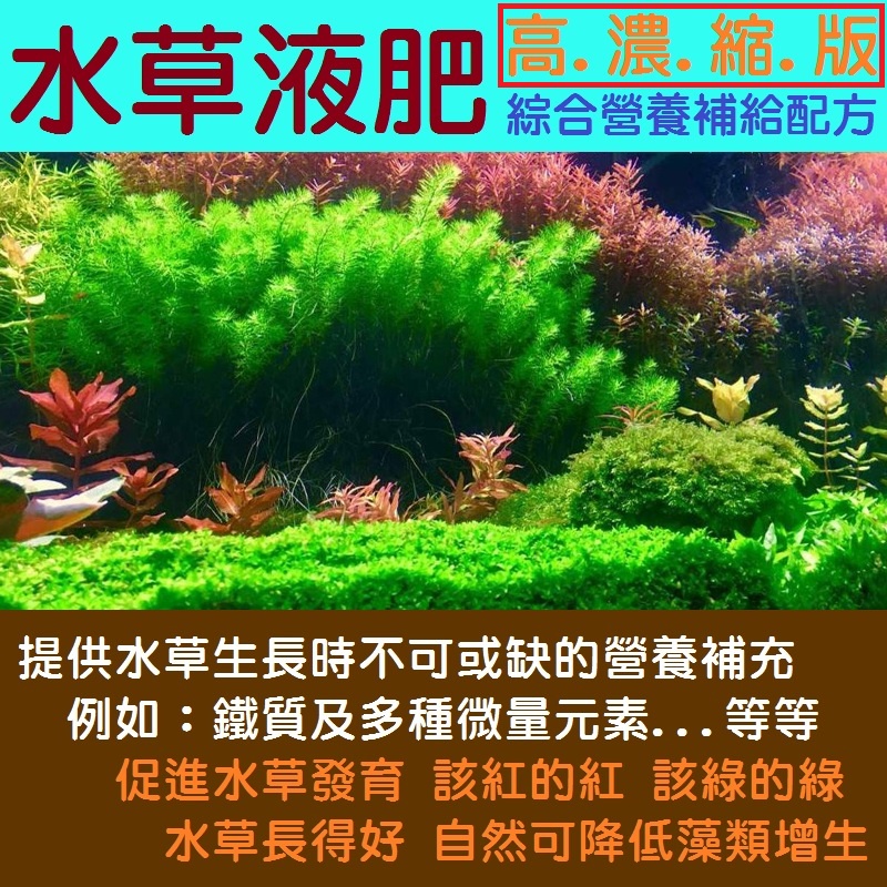 全新60cc獨立瓶裝 水草液肥 高濃縮版綜合營養補給小瓶裝水草肥料含多種礦物質微量元素質純溫和不傷魚蝦歡迎選用 蝦皮購物