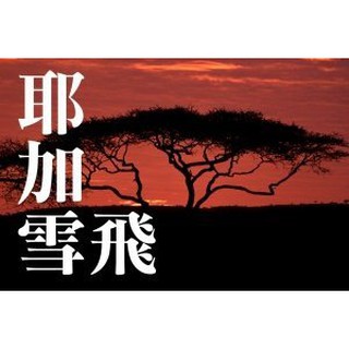 ~嚘呵咖啡~ 咖啡豆的DNA代表廠商-耶加雪飛-科契爾日曬G1