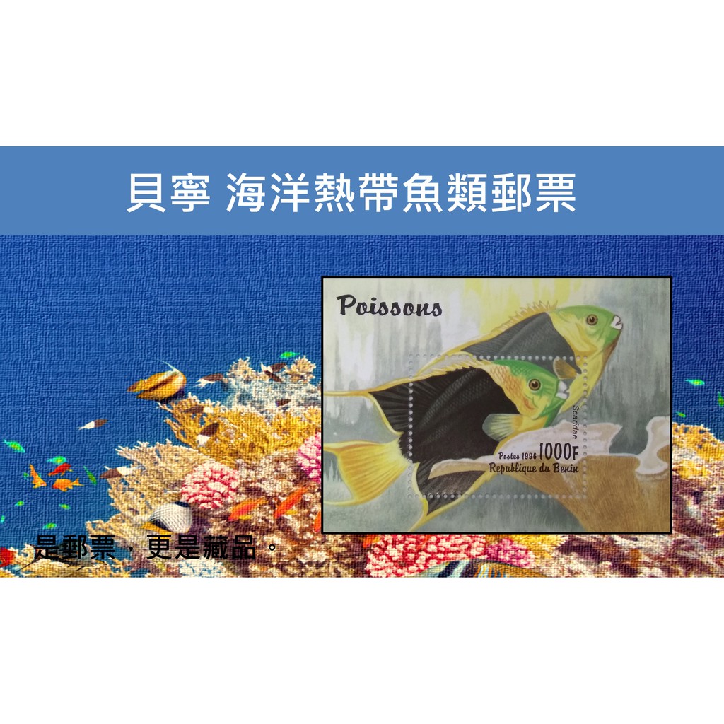 (郵票-小型張) 貝寧1996年 海洋熱帶魚類郵票