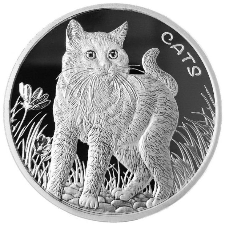 2021斐濟貓1盎司銀幣