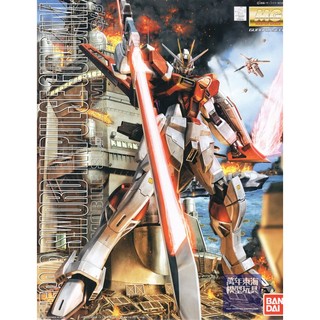 BANDAI 萬代 1/100 MG 巨劍型 脈衝鋼彈 SEED DESTINY 組裝模型 東海模型