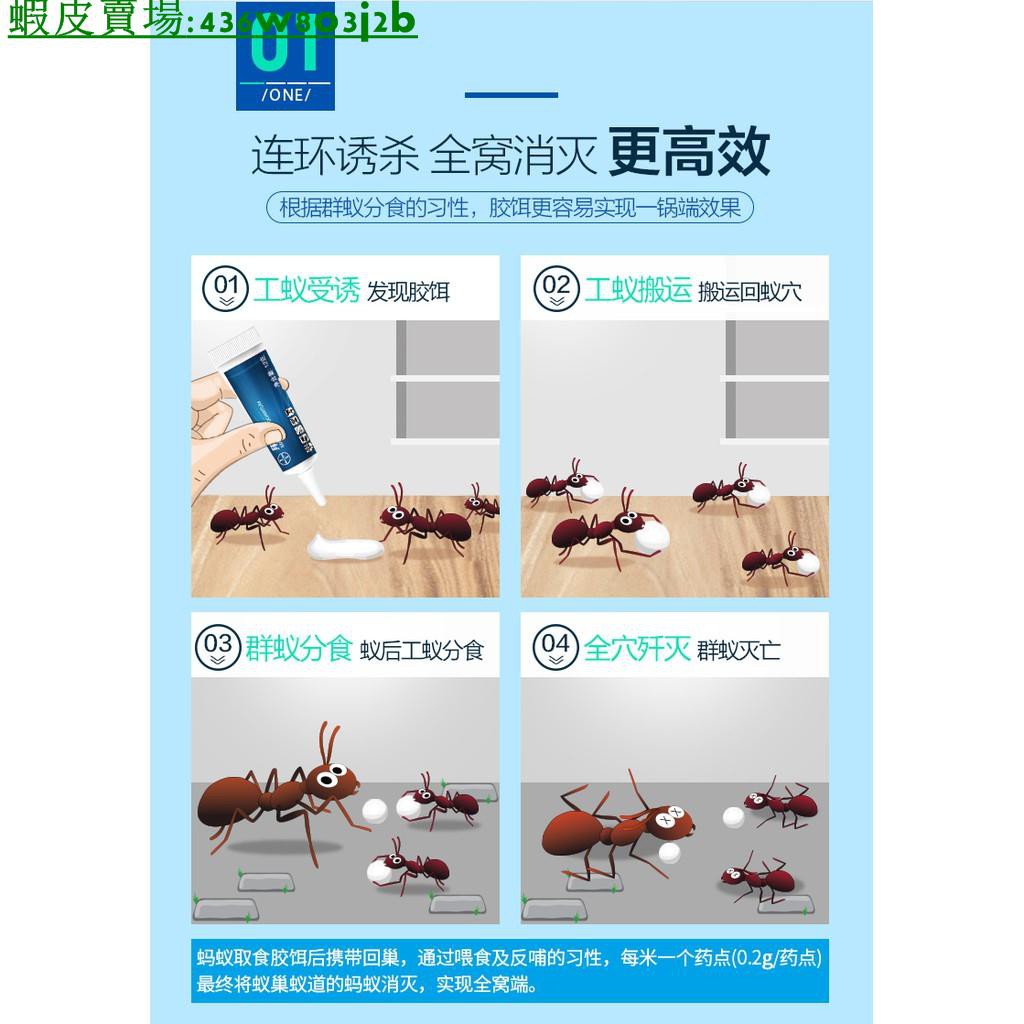 12g進口德國拜耳進口螞蟻藥拜滅易滅蟻餌劑除殺螞蟻殺蟲劑家用室內一窩端 蝦皮購物