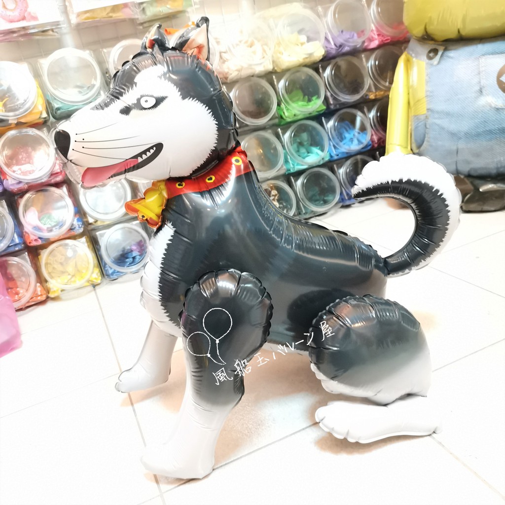 4d哈士奇組裝氣球 可以站立唷 風船玉バルーン屋 派對佈置 園遊會 看門口 小孩玩具 2哈 櫥窗佈置 二哈
