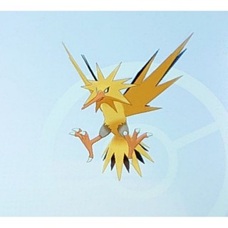 闪电鸟 優惠推薦 21年7月 蝦皮購物台灣