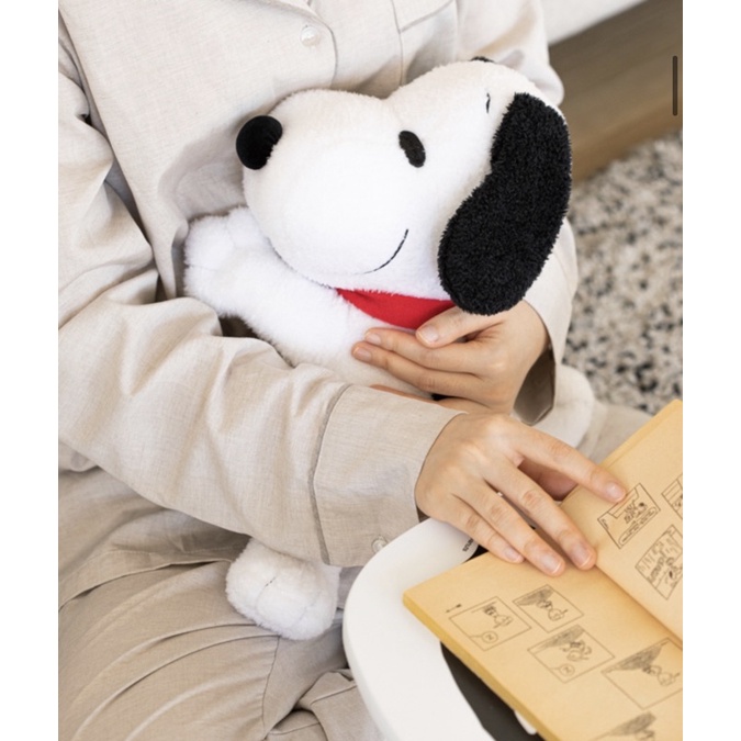 Peanuts 抱枕的價格推薦 21年10月 比價比個夠biggo