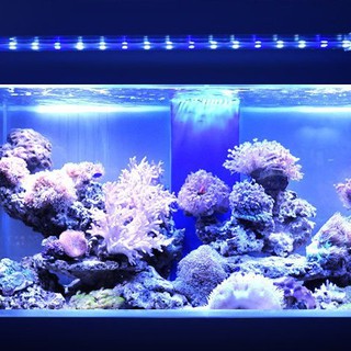 海水led燈 水族相關優惠推薦 寵物21年7月 蝦皮購物台灣
